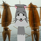 ※クリックで拡大