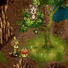 ※クリックで拡大